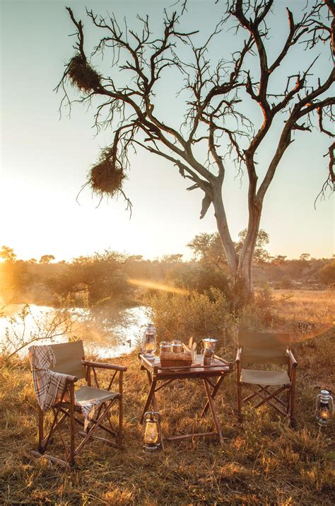 Best Luxury African Safari Trips – QTIRHX