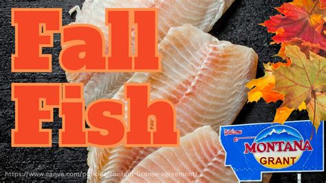 FALL FISH!!! by Montana Grant - Montana Hunting and Fishing Information