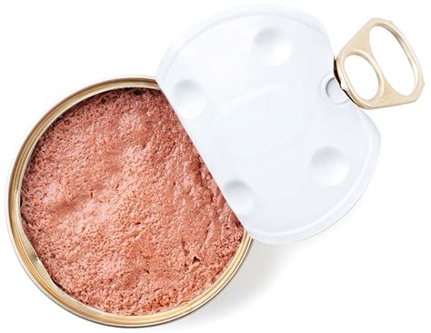 Are Dog Food Cans Recyclable