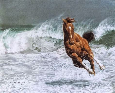 Imagen de caballos corriendo - Imagui