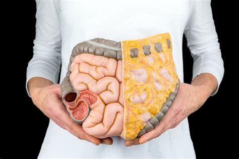 What Is A Push Enteroscopy at Christopher Brunell blog