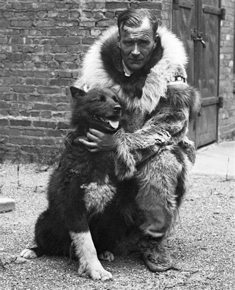 Balto | Dog, Breed, Story, Statue, & Movie | Britannica