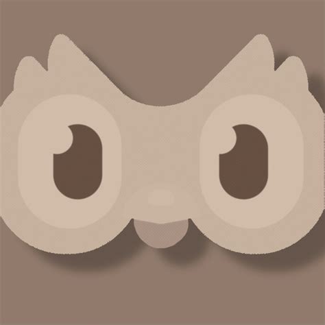 duolingo icon