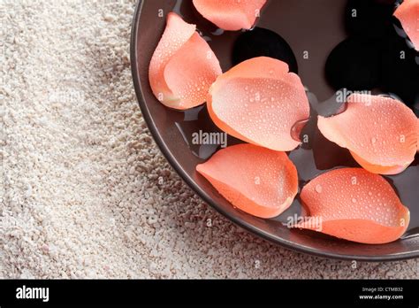 Fresh rose petals Stock Photo - Alamy