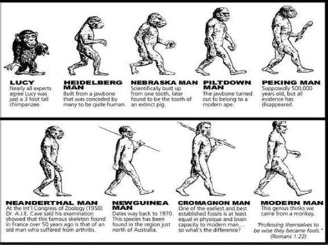 THE STORY OF HUMAN EVOLUTION