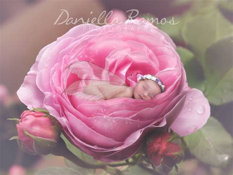 Photography | Daniella Ramos Photography | England
