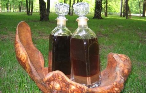 Приготовление настойки струи бобра в домашних условиях 🥃