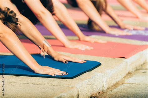 Yoga day- downward dog pose Stock Photo | Adobe Stock