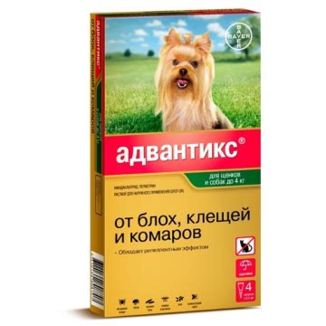 5 най-добри капки за бълхи за кучета - Топ рейтинг 2020-2021 според ...