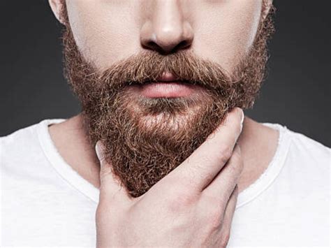 How to tame a dry, frizzy beard – BEARDED.
