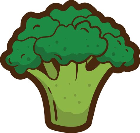 broccoli clip art fresh versatile illustrations  creative projects