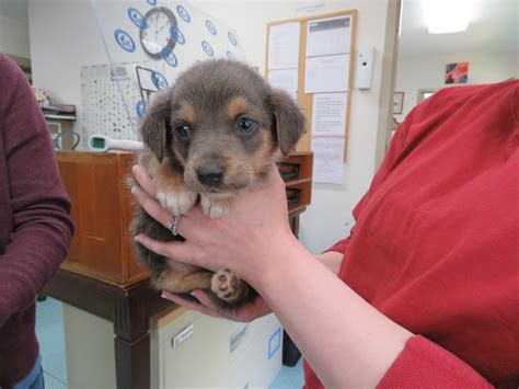 The surprising homeward trails success story you must read 22