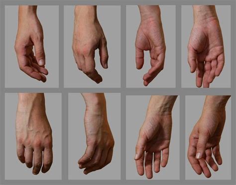 Pin by Pien on References | Hand reference, Hand drawing reference ...