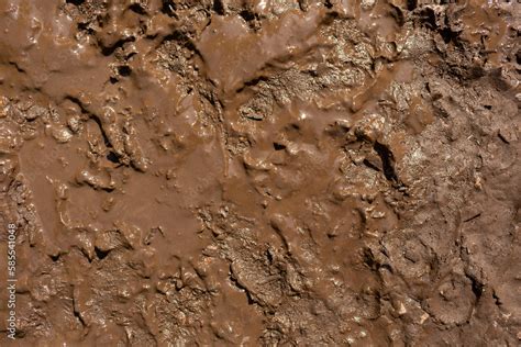 Background image texture of wet clay Stock Photo | Adobe Stock
