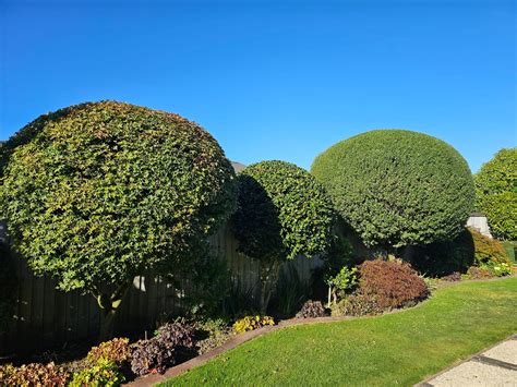 Re... - Real Estate Te Puke - Area Specialist - First National