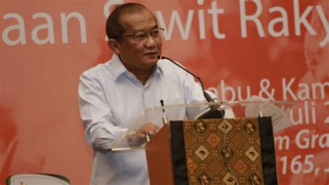 Palm Oil News - POPSI: Face European Union while Improving Palm Oil ...