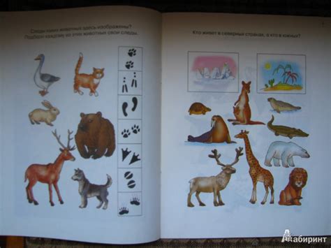 Книга: Что нас окружает. Познаем мир. 5-6 лет - Ольга Земцова. Купить ...