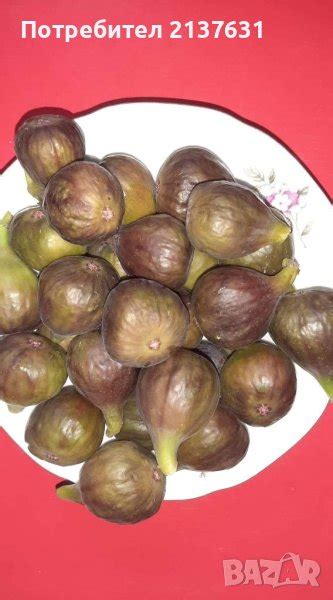 НАМАЛЕНИ ! ! ! Продавам СМОКИНИ от МОЯТА ГРАДИНА в Домашни продукти в ...