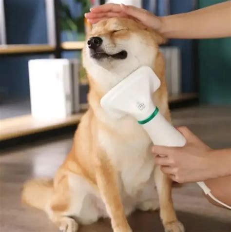 Фен гребінець для тварин собак та котів PET Grooming Dryer WN-10 ...