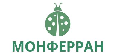 Черная речка
