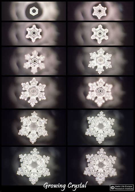 Dr Masaru Emoto 4