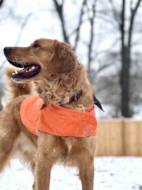 Chase Park Apartments | Montgomery AL