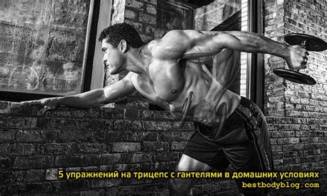 5 Упражнений На Трицепс С Гантелями В Домашних Условиях
