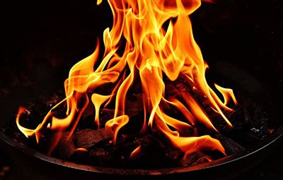 Advantages of Using Bio Fuel Fire for Your Fireplace | Naked Flame NZ