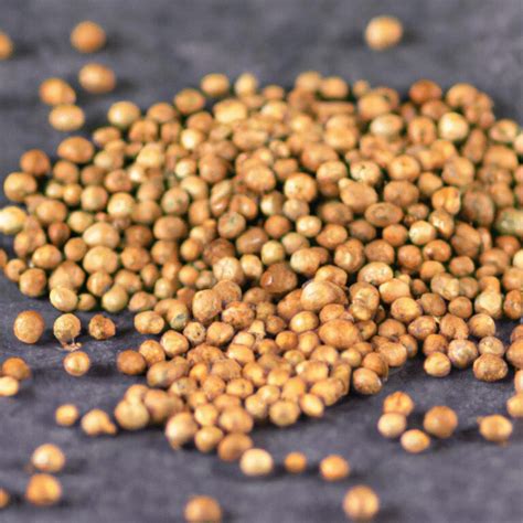 Propiedades de la semilla de cilantro, beneficios y contraindicaciones