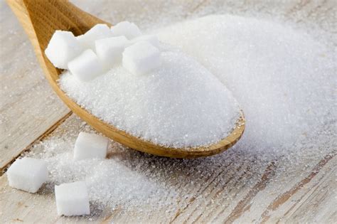 What is sugar? | infowiki.com