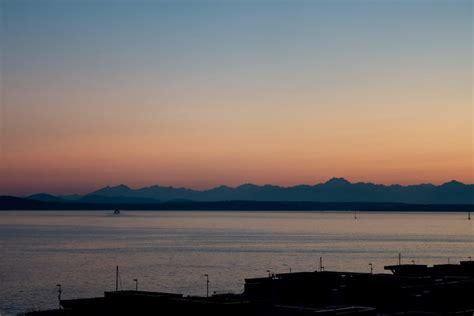 puget sound  disoriented
