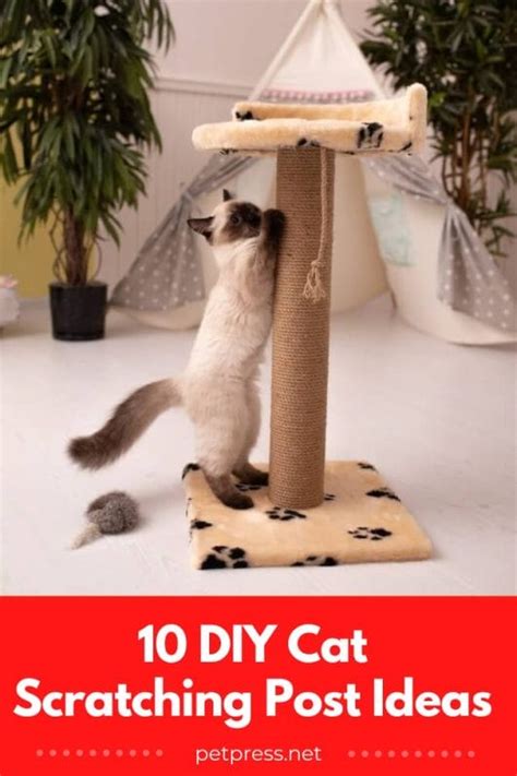 10 DIY Cat Scratching Post Ideas To Keep Your Cat Entertained