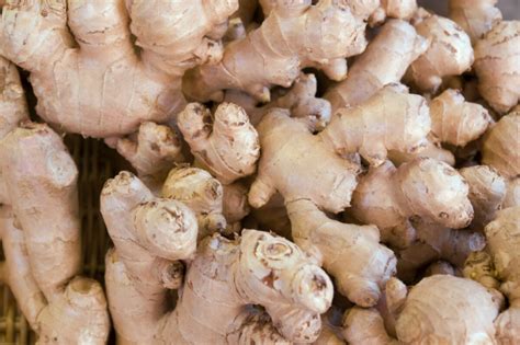 Ginger