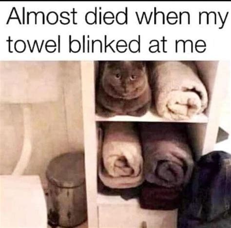 Cute and scary... | /r/wholesomememes | Wholesome Memes | Know Your Meme