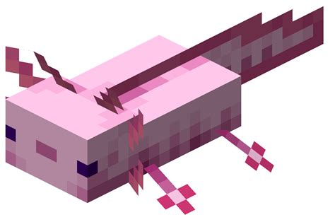 Animal – Minecraft Wiki
