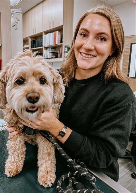 UrgentVet Roswell Vet Clinic - Veterinarian in Roswell, GA