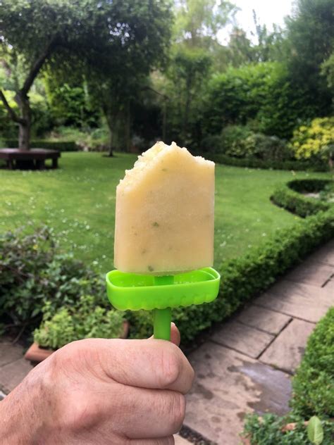 recipe fresh  fruity natural ice blocks foodie explorers