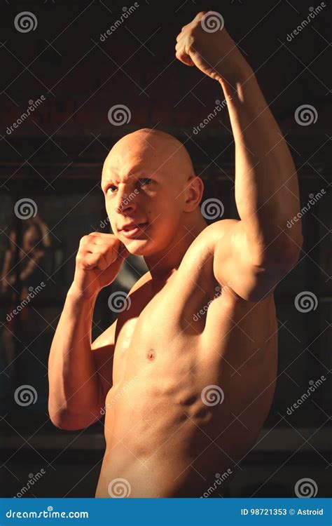 boxer  fighting stance stock image image  glove