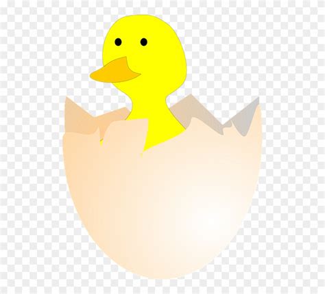 Gambar Telur Bebek Menetas Clipart (#1373396) - PinClipart