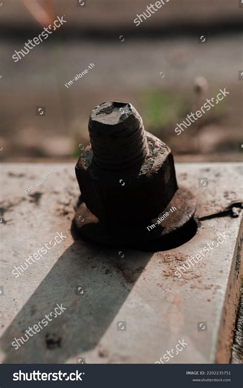 13,774 Male Nuts Images, Stock Photos & Vectors | Shutterstock