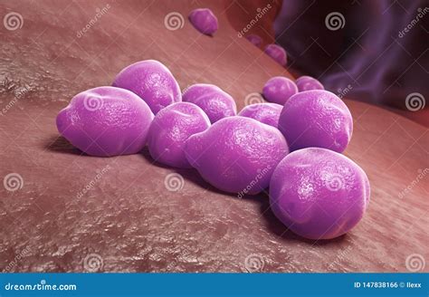 Pollen Grains From Different Plants Stock Illustration | CartoonDealer ...