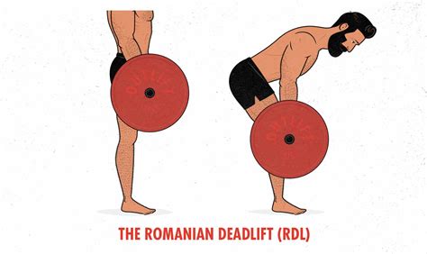 deadlift hypertrophy guide outlift