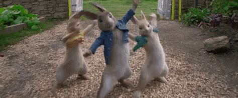 Peter Rabbit GIF - Find & Share on GIPHY