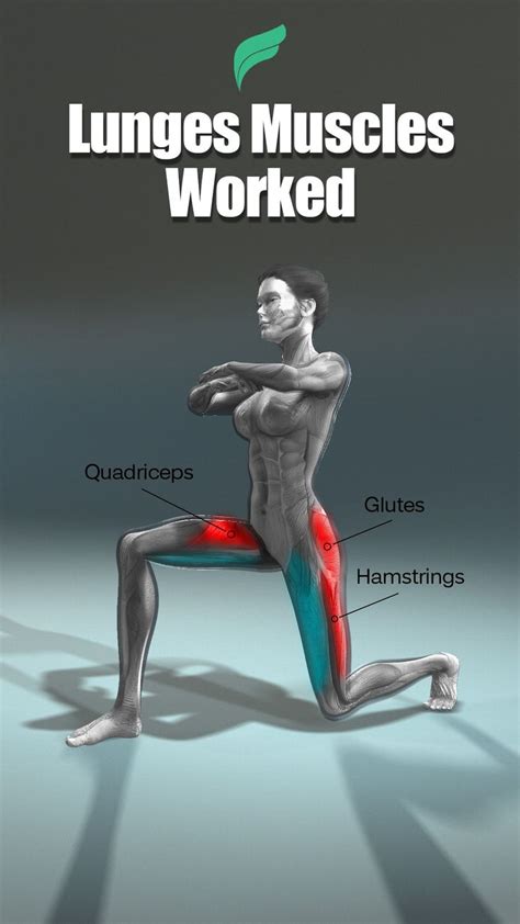 LUNGES MUSCLES WORKED: An immersive guide by Fitonomy