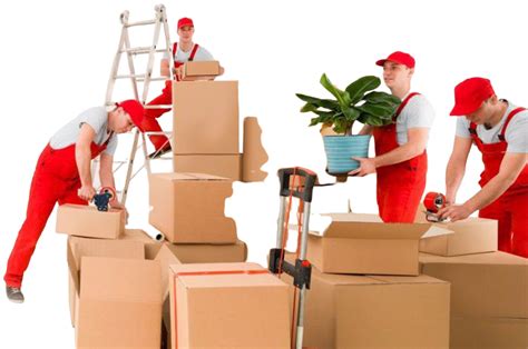 Orange County Movers