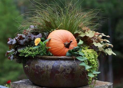 Fall Landscaping Ideas for Front Yards - JCs Landscaping LLC