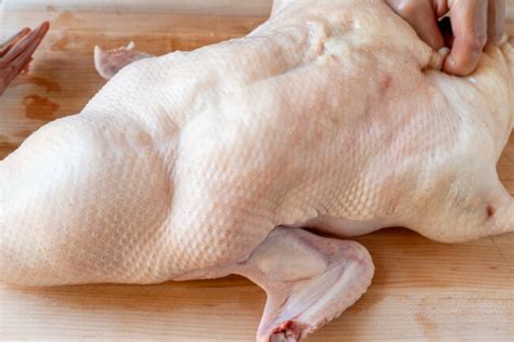 Chinese Roast Duck - The Woks of Life