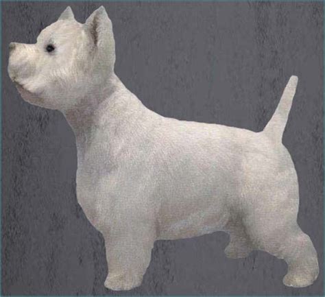 Westie Grooming