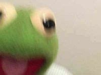 reaction memes ideas   funny reaction pictures cute memes