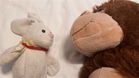 bunny  monkey official trailer youtube